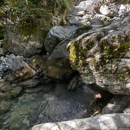 Olympus Pearl * سكوتينا