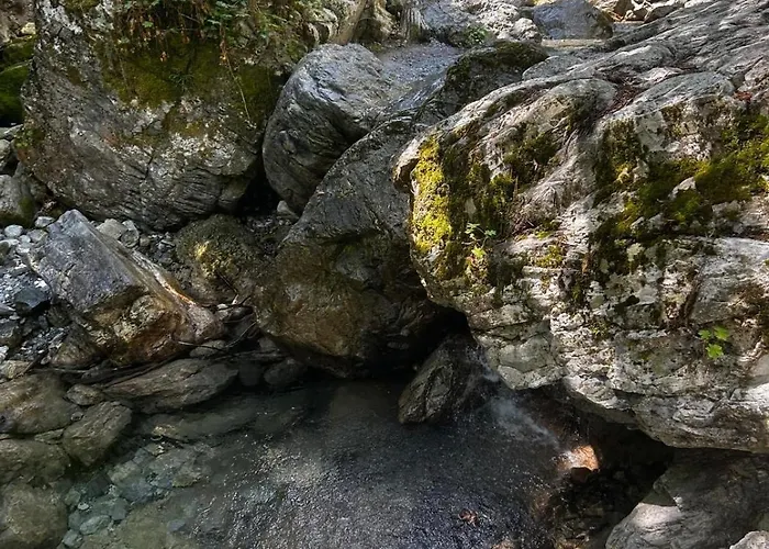 Olympus Pearl * Skotina